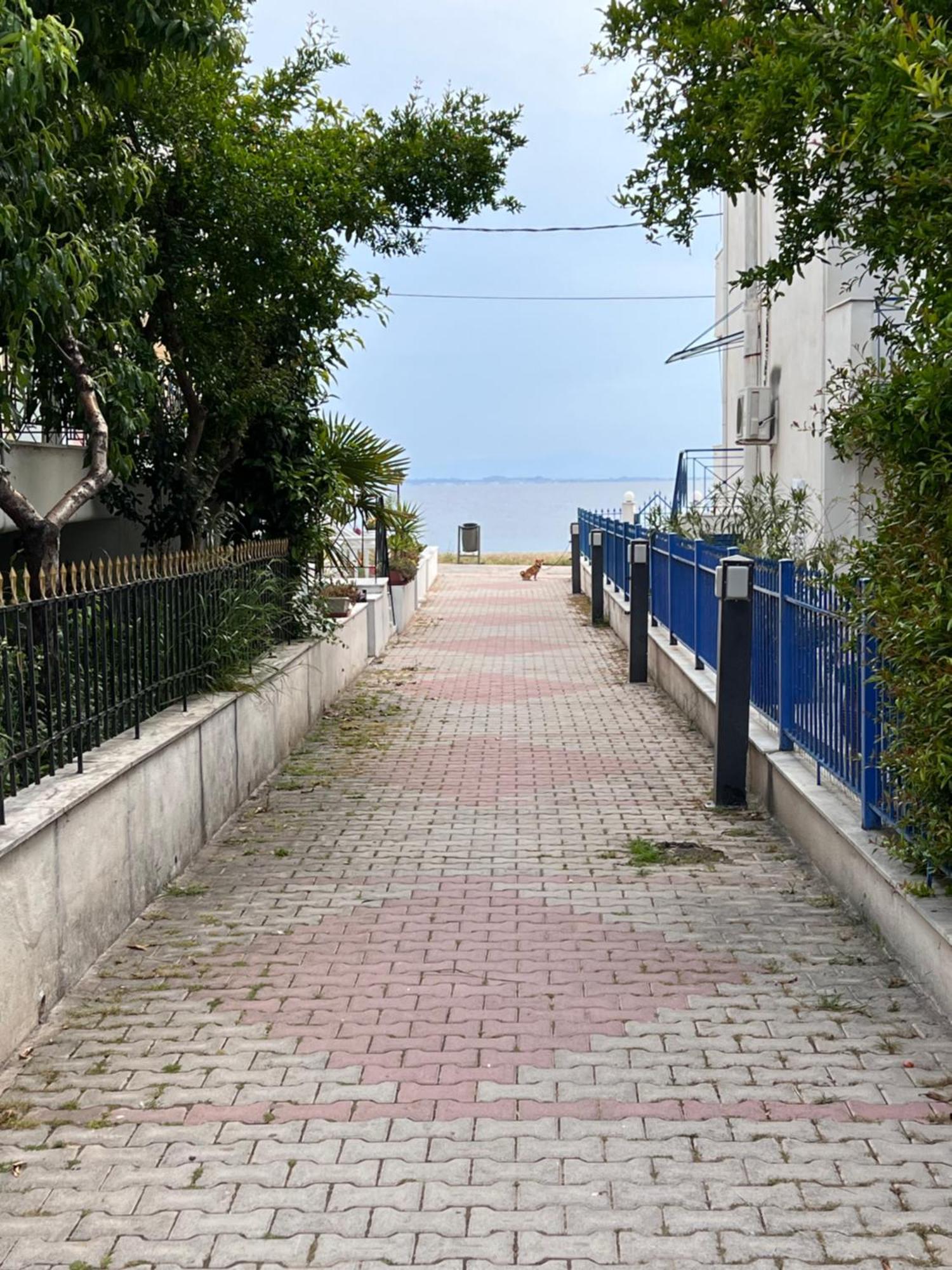 Joanna Apartment Геракини Екстериор снимка